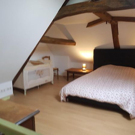Chez Laiko Wifi Gratuit Villa Beaulieu-sur-Loire Dış mekan fotoğraf