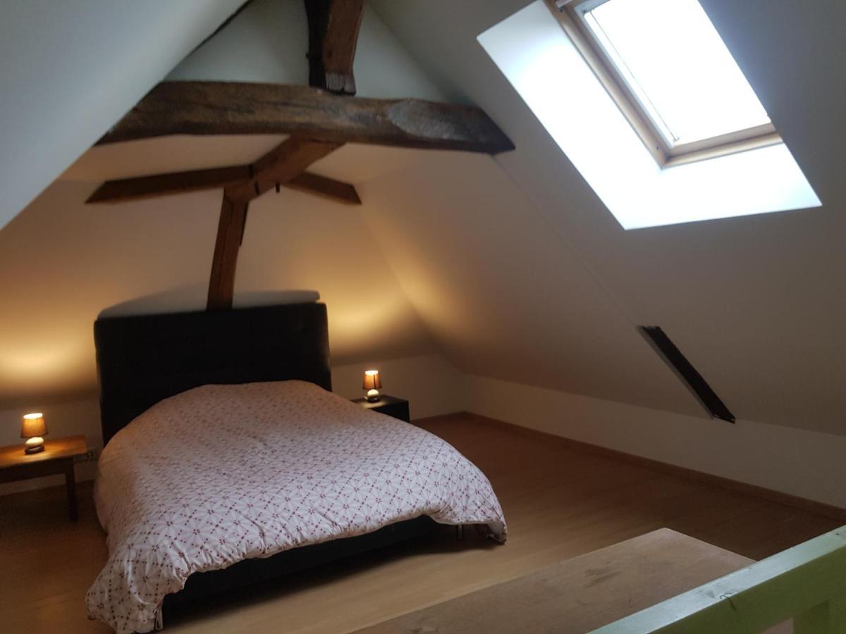Chez Laiko Wifi Gratuit Villa Beaulieu-sur-Loire Dış mekan fotoğraf